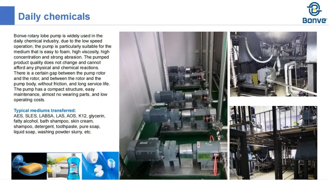 Postive Displacement Rotary Lobe Pump / Displacement Pump / Pd Pumps with 2 Years Warranty