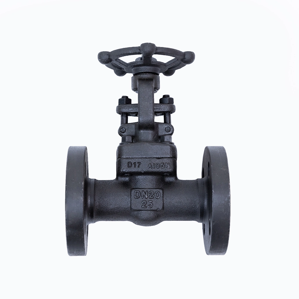 A105 Manual Stainless Forged Flange Stop Globe Valve