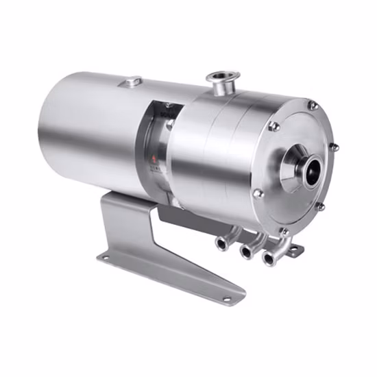 유제품 분야의 치즈 가공을 위한 Donjoy의 위생적인 ​​유화 균질 혼합 펌프